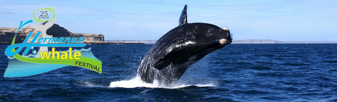 Hermanus Whale Festival - 28th and 30th Sept, 2018