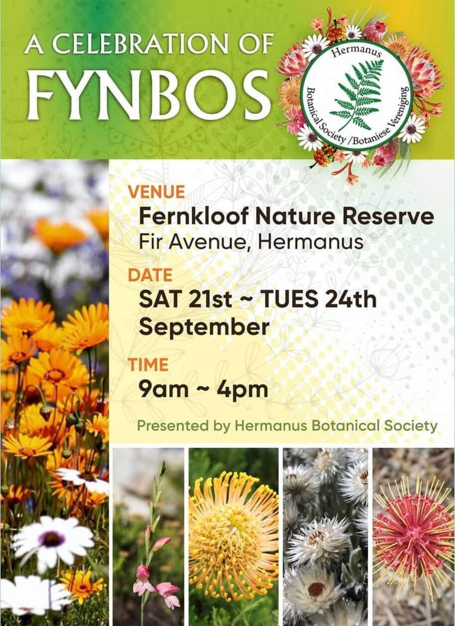 Hermanus Flower Festival at Fernkloof Hermanus - 21st to 24th Sept 2024